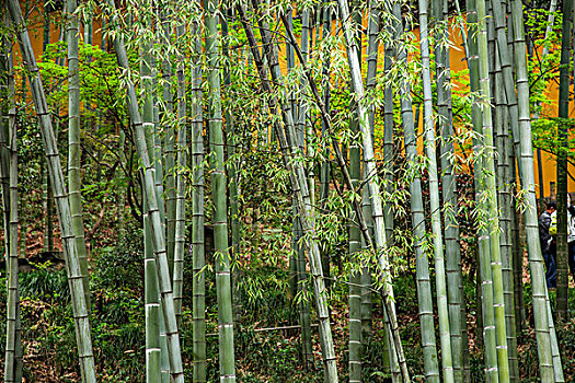 川沙鐘點(diǎn)工多少錢(qián)？探索川沙地區(qū)鐘點(diǎn)工服務(wù)的價(jià)格與質(zhì)量