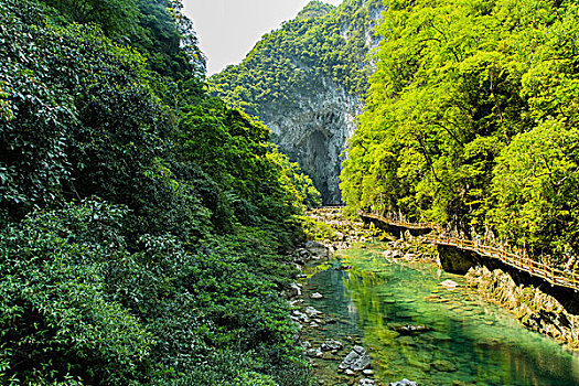 深圳育兒嫂多少錢？揭秘育兒嫂價(jià)格與選擇技巧