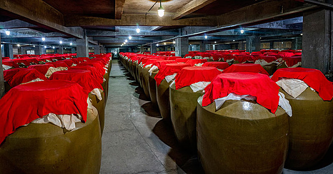 美人魚2成本多少錢？揭秘電影背后的巨額投入與未來前景