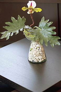 雙流鐘點工一般多少錢？如何選擇合適的鐘點工服務？