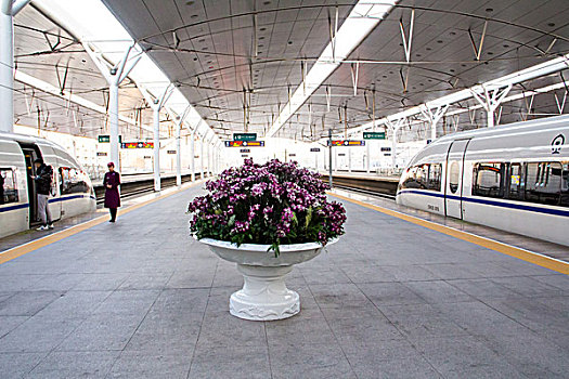 沈陽(yáng)有多少個(gè)家政公司？揭開(kāi)沈陽(yáng)家政行業(yè)的秘密！