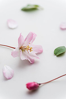 廣州鐘點(diǎn)工保潔多少錢？?jī)r(jià)格揭秘與服務(wù)分析