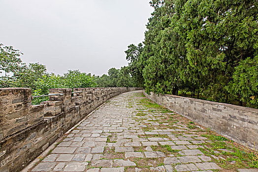 南京鐘點(diǎn)工價(jià)格揭秘：你值得了解的收費(fèi)標(biāo)準(zhǔn)與服務(wù)質(zhì)量