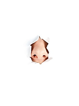 做保姆標(biāo)準(zhǔn)工資是多少？讓你了解真正的薪資水平