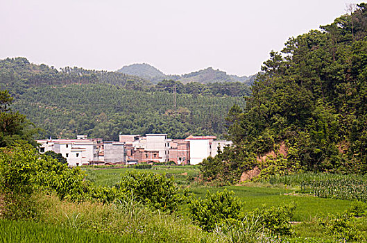 小時(shí)工保姆多少錢一小時(shí)？讓您輕松了解市場(chǎng)行情，挑選性價(jià)比高的保姆服務(wù)