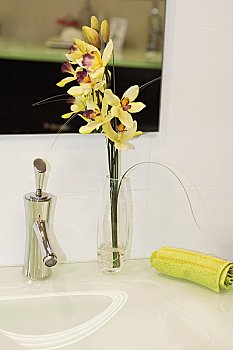 拆彈專家2多少能回本？深度解析電影收益與投資回報(bào)