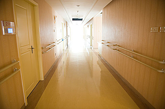 廈門搬家多少錢？輕松了解搬家費用，讓搬家更省心！