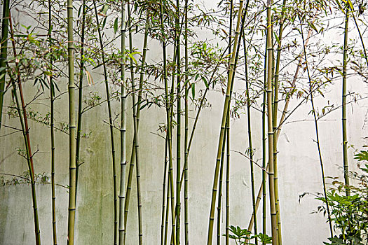 家政服務(wù)培訓(xùn)多少錢？揭秘行業(yè)培訓(xùn)費用，助你開啟成功職業(yè)生涯！