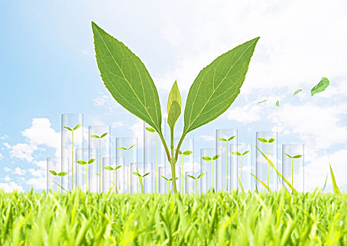 加拿大的保姆月薪多少？探討保姆行業(yè)薪酬現(xiàn)狀與趨勢