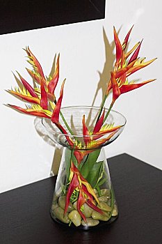 月嫂一個工資多少？揭秘月嫂行業(yè)的收入潛力與發(fā)展前景