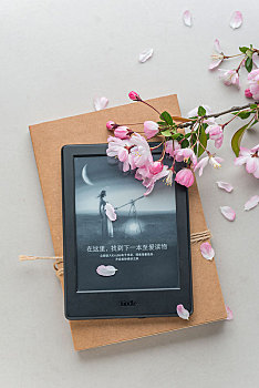 上海做保姆多少錢(qián)一個(gè)月：一探上海家庭服務(wù)市場(chǎng)的價(jià)格和趨勢(shì)