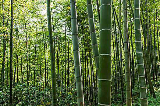 青島家政半天多少錢？優(yōu)質(zhì)服務，讓生活更輕松