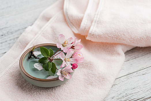 家政服務(wù)一般多少錢一天？為您的生活提供便捷的解決方案