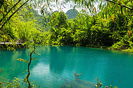 溫州住家保姆工資多少？揭秘溫州住家保姆的薪資標(biāo)準(zhǔn)與背后的原因