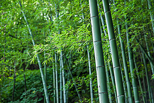 上海市護(hù)工月薪多少？——讓你了解上海護(hù)工行業(yè)的薪資現(xiàn)狀