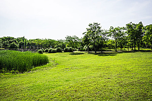 醫(yī)院護(hù)工費(fèi)多少錢？了解護(hù)工費(fèi)用，保障您的健康護(hù)理需求