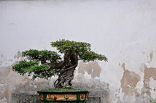 濟南家政打掃衛(wèi)生多少錢？一站式服務讓您的生活更輕松