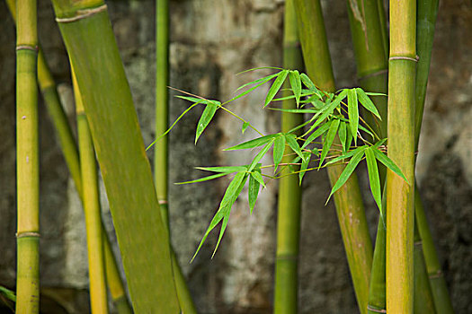 成都保姆多少錢？一文解答你對(duì)成都保姆費(fèi)用的所有疑問！
