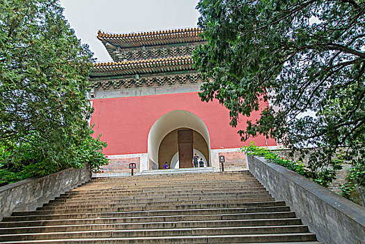 招聘奶媽需多少錢？揭秘背后的市場(chǎng)與選擇