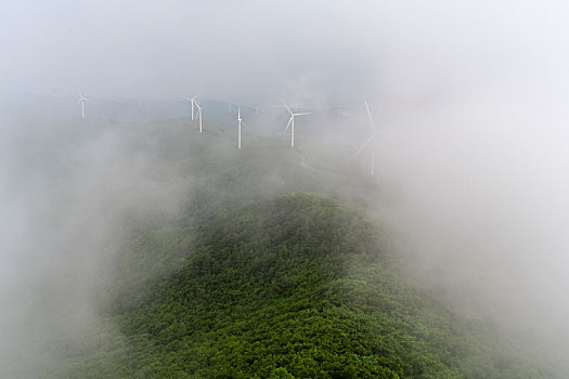 除暴預(yù)售票房如何突破，電影市場迎來新機(jī)遇
