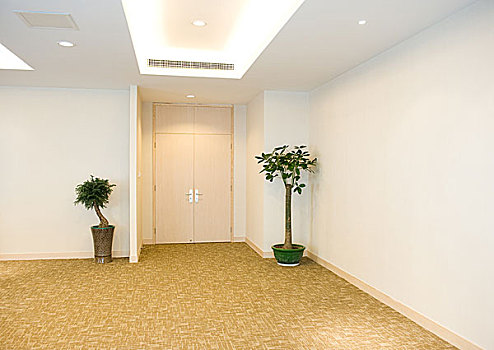山東住家保姆工資多少？了解山東保姆薪資的市場趨勢與背后因素