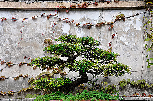 《金剛川了多少錢(qián)？這部史詩(shī)戰(zhàn)爭(zhēng)片如何創(chuàng)造票房奇跡》
