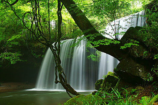 大連保母一個(gè)月多少錢(qián)？揭秘大連保母服務(wù)市場(chǎng)價(jià)格與選擇技巧