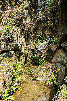 上海美國(guó)保姆工資多少錢？一文帶你了解