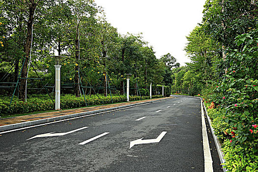 上海保潔服務(wù)市場(chǎng)分析——價(jià)格揭秘與行業(yè)發(fā)展趨勢(shì)