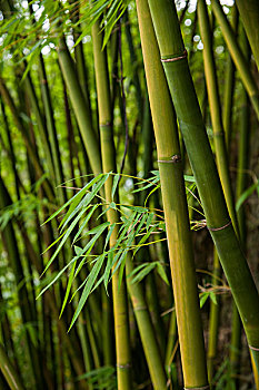 同濟(jì)醫(yī)院護(hù)工花多少錢？了解費(fèi)用與服務(wù)，助您做出明智選擇