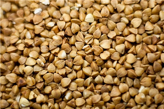 干家政一個(gè)是多少錢？揭秘家政行業(yè)的薪資秘密
