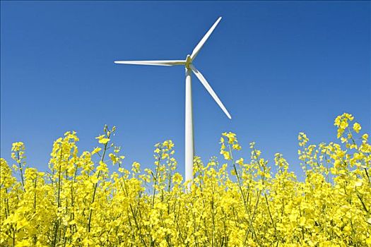 四住家保姆電話號碼多少？專業(yè)住家保姆服務，讓您的生活更加輕松！