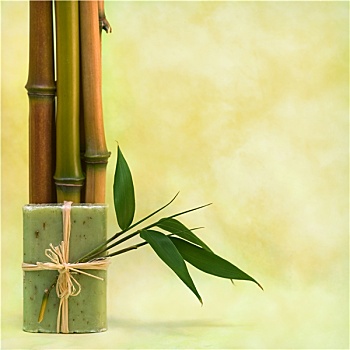 寧遠(yuǎn)請(qǐng)保姆多少錢一個(gè)月？讓你輕松了解價(jià)格與服務(wù)