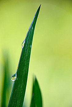 在長(zhǎng)沙請(qǐng)一個(gè)保姆多少錢(qián)？揭秘長(zhǎng)沙家政服務(wù)的真實(shí)價(jià)格！