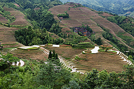 南陽住家保姆多少錢？了解住家保姆費用的背后真相