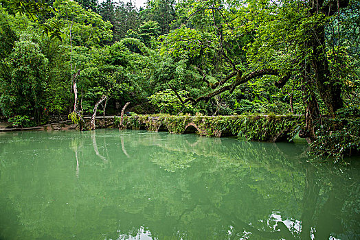 沈陽(yáng)保姆工資多少？揭秘沈陽(yáng)家政行業(yè)的薪資與前景