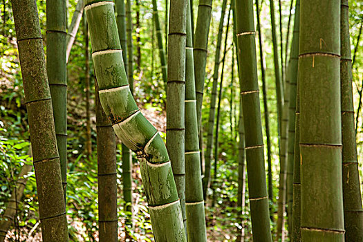 煙臺(tái)找個(gè)保姆多少錢？解密煙臺(tái)家政服務(wù)的價(jià)格與選擇