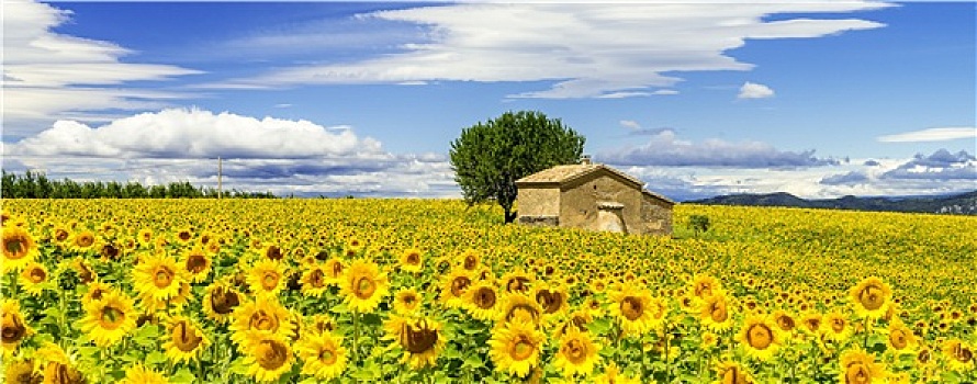 原平住家保姆多少錢？了解原平住家保姆的收費(fèi)標(biāo)準(zhǔn)與選擇技巧