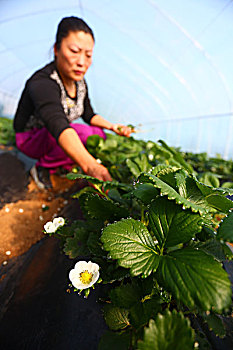 深圳月嫂多少錢一個(gè)月？讓我們?yōu)槟议_月嫂服務(wù)的真實(shí)價(jià)格與價(jià)值