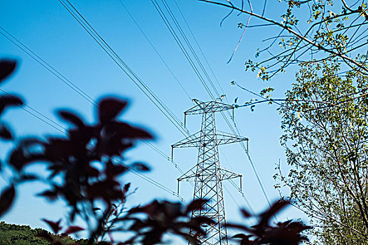 廈門這邊清洗家電多少錢？讓家電煥然一新，告別臟污困擾！
