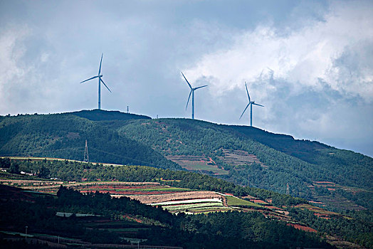 《除暴多少票房不虧：揭秘這部電影如何征服影迷的心》