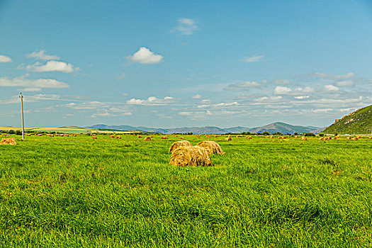 青島住家保姆工資多少錢？揭秘青島住家保姆薪資與職業(yè)發(fā)展前景