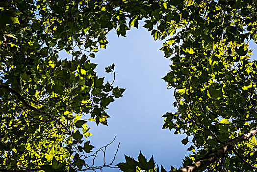 月嫂工資大揭秘：你知道現(xiàn)在月嫂的工資是多少嗎？