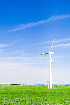 《除暴》電影投資揭秘：這筆巨額投資值得嗎？