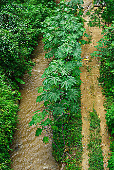 鐘點工做飯多少一個月？了解雇傭鐘點工做飯的費(fèi)用與服務(wù)優(yōu)勢