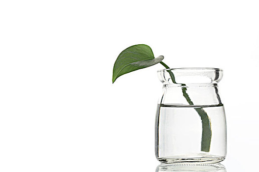 成都催乳師工資多少？揭秘這個行業(yè)的前景與薪資
