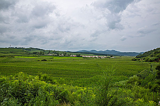 做飯家務(wù)保姆多少錢(qián)？讓我們來(lái)幫你解答