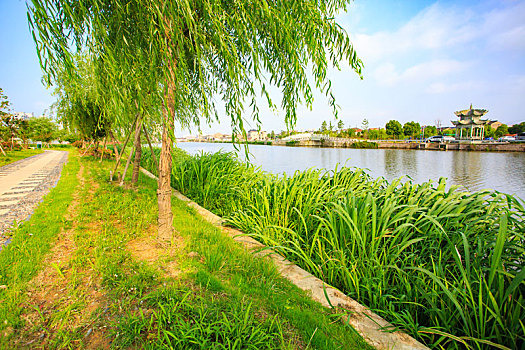 長(zhǎng)春保姆一個(gè)月多少錢？如何選擇適合的保姆服務(wù)