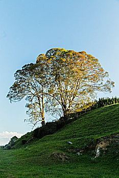 醫(yī)護(hù)保姆多少錢(qián)一個(gè)月？讓我們?yōu)槟议_(kāi)答案