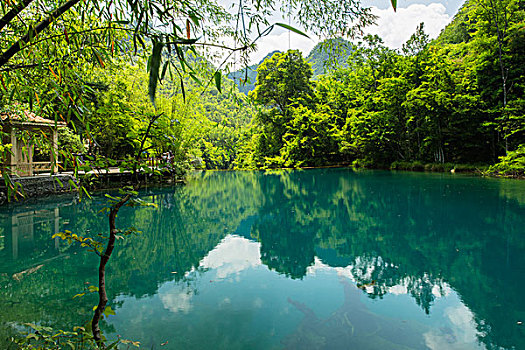 家政公司得多少資金：開啟家庭服務(wù)產(chǎn)業(yè)的財(cái)富之門